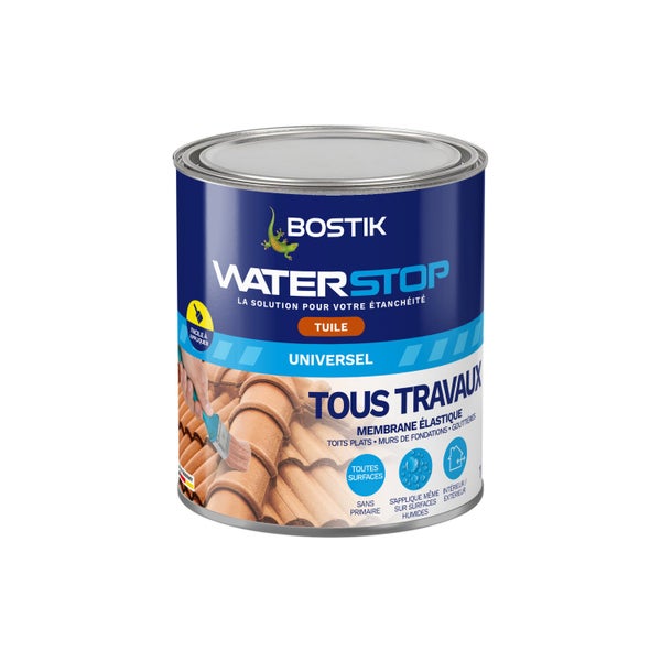 Membrane d'étanchéité Waterstop tuile BOSTIK 1 kg