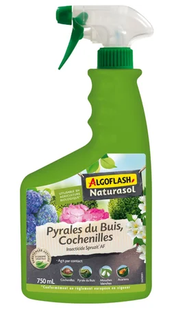 Traitement Pyrales du buis cochenilles