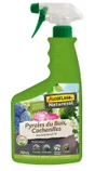 Traitement Pyrales du buis cochenilles