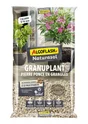 Granuplant pierre ponce, ALGOFLASH NATURASOL, 10 l