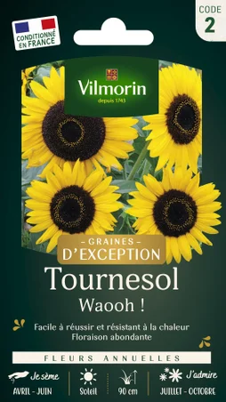 Sachet graines tournesol waooh, VILMORIN, 1 g