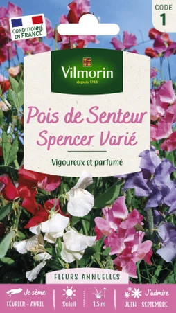 Graines de Pois de senteur Spencer varié VILMORIN 5 g