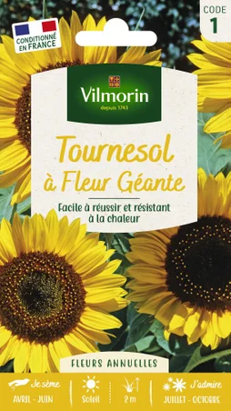 A fleur geante VILMORIN 1.5 g