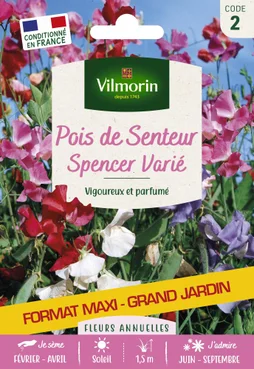 Spencer varie VILMORIN 15 g