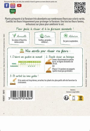 Spencer varie VILMORIN 15 g