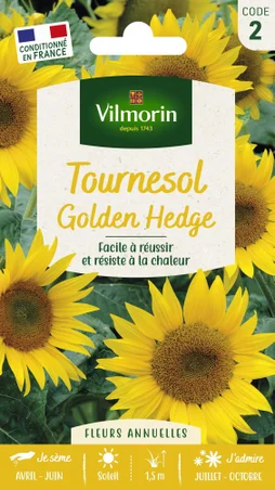 Golden hedge VILMORIN 1.5 g
