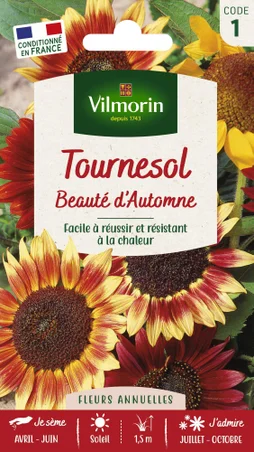 Beaute d'automne VILMORIN 1.5 g