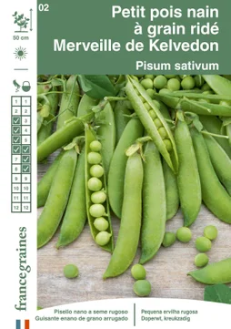Pois merveille de kelvedon nain ride