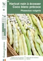 Haricot coco blanc precoce