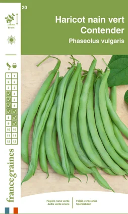 Haricot contender (nain mangetout)