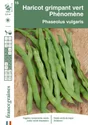 Haricot phenomene