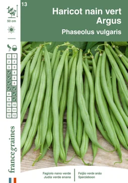 Haricot argus