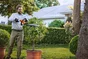 Taille-haies STIHL HSA40 50CM sans batterie
