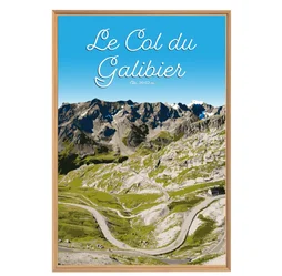 Image encadrée Galibier, CEANOTHE l.65 x H.97 cm