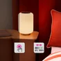 Lampe bombo led h21.5 dimmable/touch metal/verre inspire