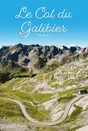 Toile imprimée Galibier, CEANOTHE l.30 x H.45 cm