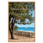Image encadrée Bassin arcachon  CEANOTHE l.65 x H.97 cm