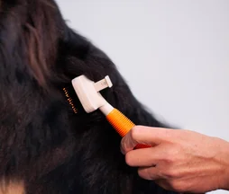 Brosse nettoyage chien/chat push FIDELAMI