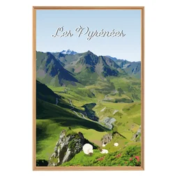 Image encadrée Les Pyrénées, CEANOTHE l.65 x H.97 cm