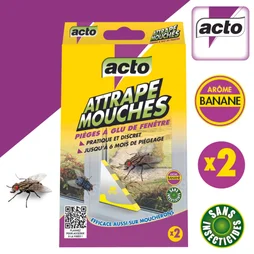  Attrape mouches pièges à glu de fenêtre