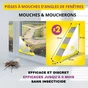  Attrape mouches pièges à glu de fenêtre