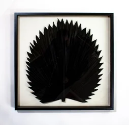 Cadre vitrine Palme ARIANE l.60 x H.60 cm