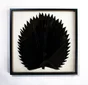 Cadre vitrine Palme ARIANE l.60 x H.60 cm