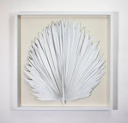 Cadre vitrine Palme ARIANE l.60 x H.60 cm
