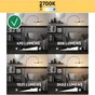 Ampoule led edison verre e27 3w=40w 470lm claire 2700k classe a LEXMAN