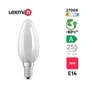 Ampoule led à filament E14, 255lm = 25W, LEXMAN