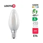 Ampoule led à filament E14, 255lm = 25W, blanc neutre, LEXMAN