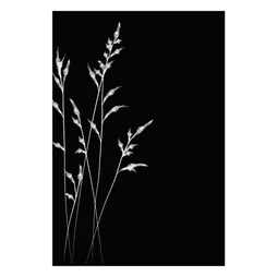 Plaque de protection murale Champêtre, DIXNEUF, l.81 cm x H.120 cm noir