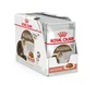 Royal Canin Alimentation Chat Ageing 12+Sauce 12X85G