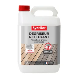 Dégriseur SYNTILOR Nettoyant 5 l, incolore