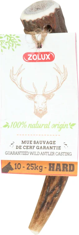 Friandise chien bois de cerf entier s