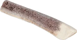 Friandise chien bois de cerf biseauté Puppy XS