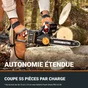 Tronconneuse sur batterie WORX Wg350e 20 V, guide de 30 cm