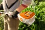 Outil multifonction STIHL 36V KMA80R sans batterie