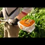 Outil multifonction STIHL 36V KMA80R sans batterie