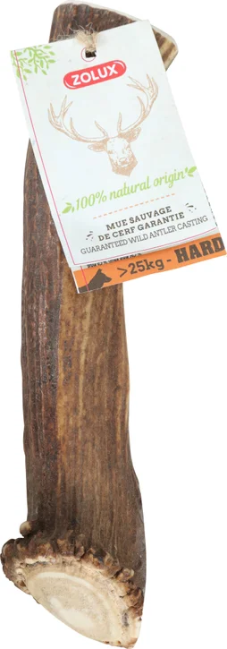 Friandise chien bois de cerf entier xxl