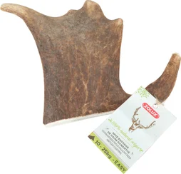 Friandise chien bois de daim l