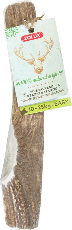Friandise chien bois de cerf biseaute m