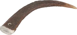 Friandise chien bois de cerf entier - hard moins 15kg