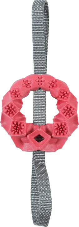 Jouet chien TPR cercle outdoor terracota