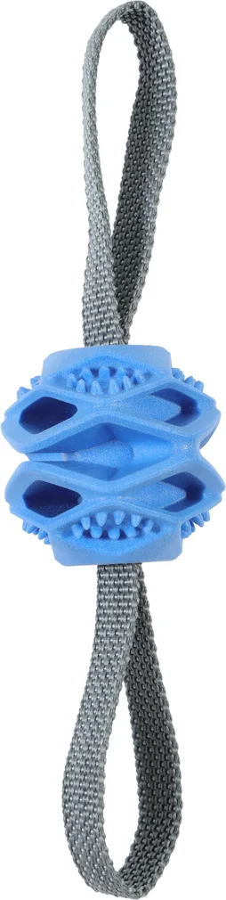 Jouet chien TPR balle outdoor bleu