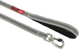 Laisse chien Moov 20 mm gris