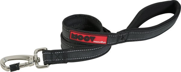 Laisse chien Moov 25 mm noir