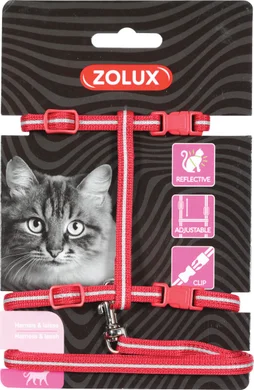 Kit sellerie chat rouge