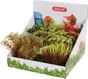 Plante articielle aquarium display 6 petites plantes assorties