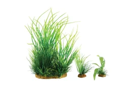 Plante aquarium plantkit wiha n°1